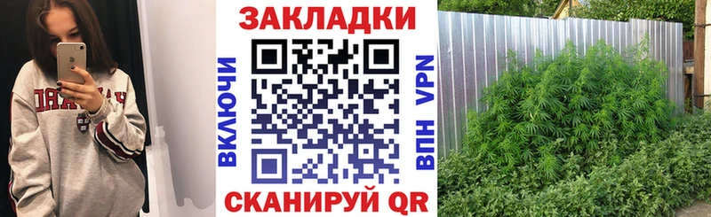 Где купить Плёс АМФЕТАМИН APVP ГАШ Кокаин Конопля