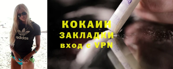 гидра Инта