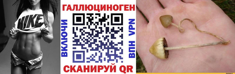 купить наркотик  Плёс  ссылка на мегу ССЫЛКА  Псилоцибиновые грибы прущие грибы 