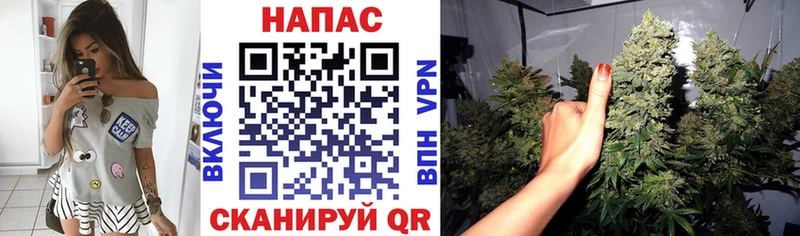 Шишки марихуана индика  купить наркоту  Плёс 